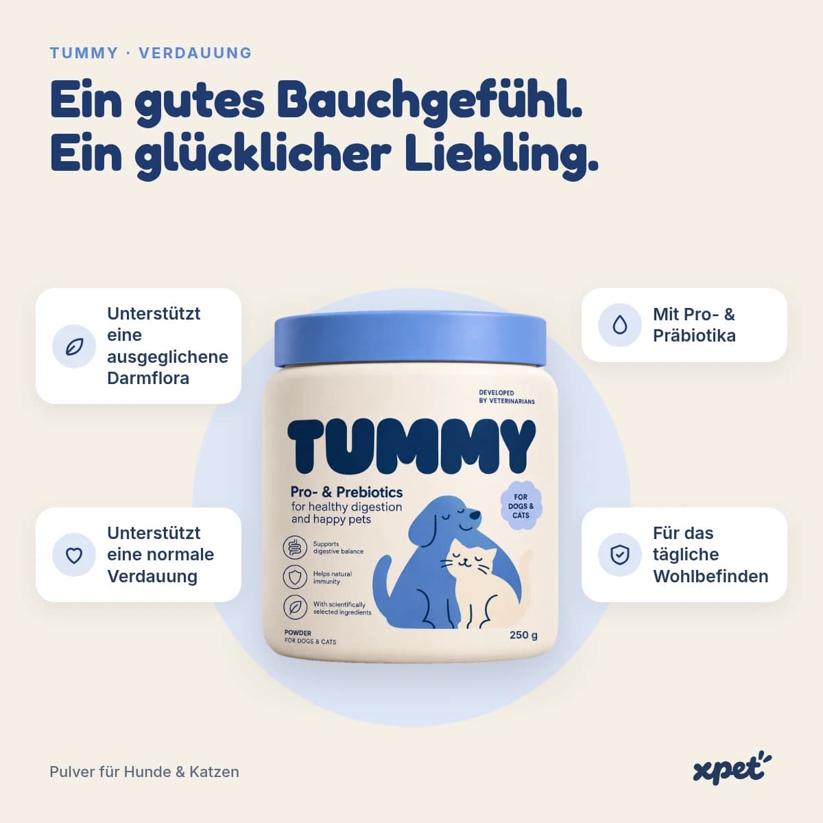 TUMMY – Einblick 1
