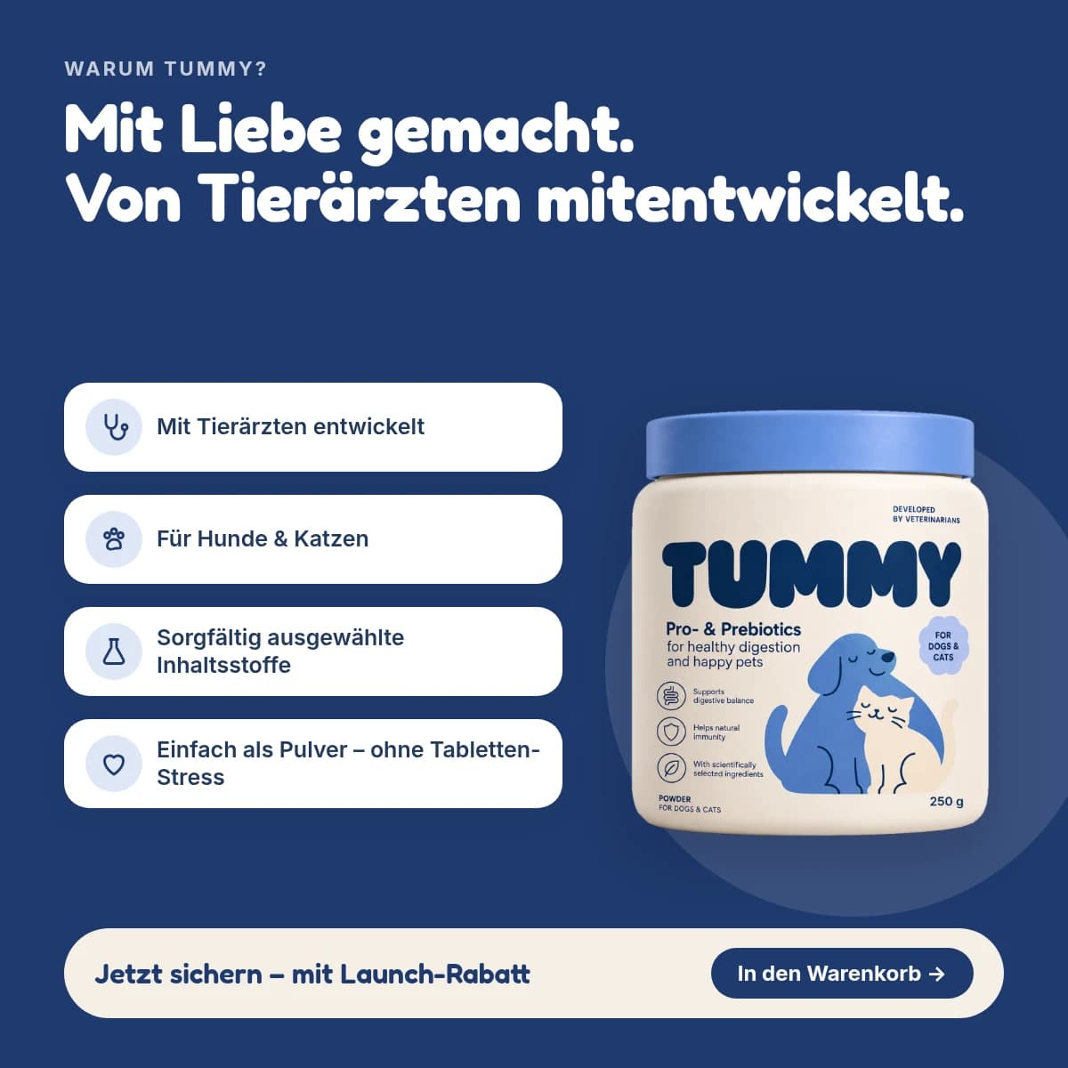 TUMMY – Einblick 3